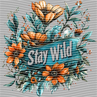 Country music-CM-1207